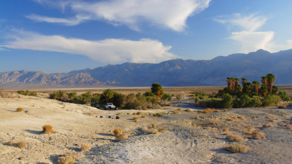 desert in the Saline Valley